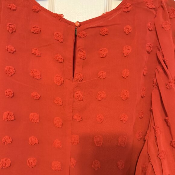 Vine & Love Red Swiss Dot Long Sleeve Blouse – Size Small, NWT - Picture 3 of 3